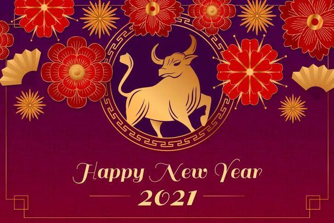2021 Chinese Spring Festival Holiday Notice